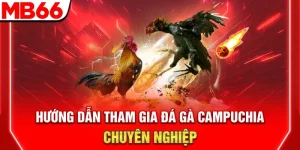Đá Gà Campuchia – Hướng Dẫn Tham Gia Chuyên Nghiệp